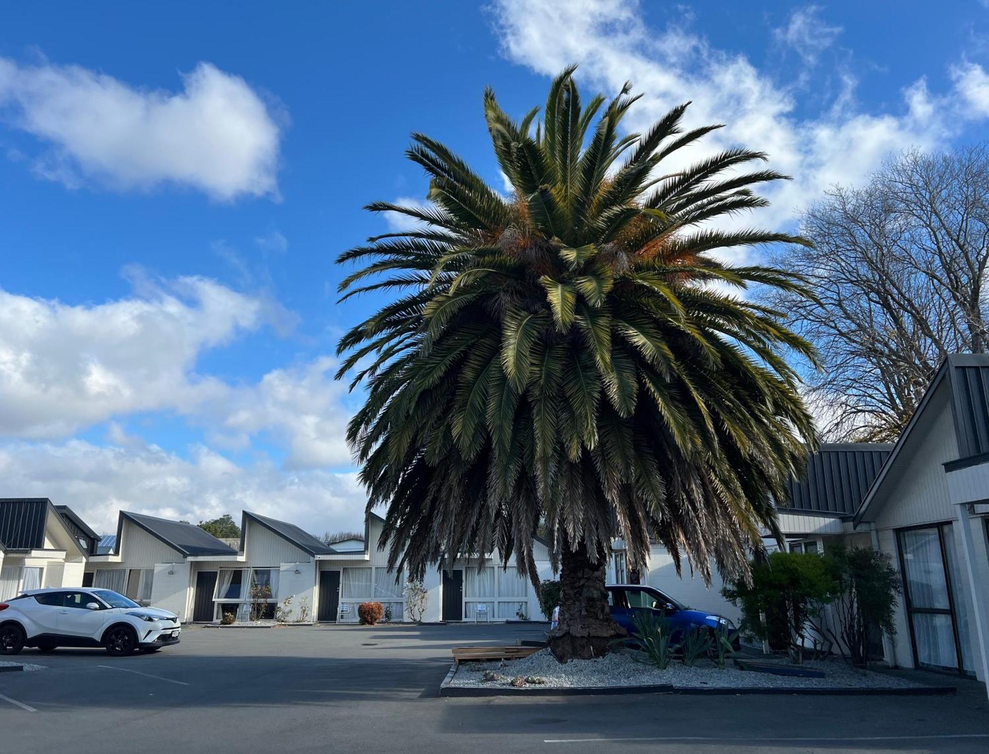 Diplomat Motel Christchurch Exterior foto